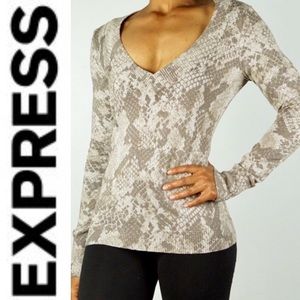 Express V-neck sweater